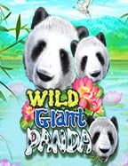 918kiss ฟร เครด ต ไม ต อง ฝาก: สูตรการเล่นที่คุณไม่ควรพลาด